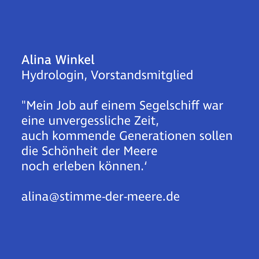 Image on hover