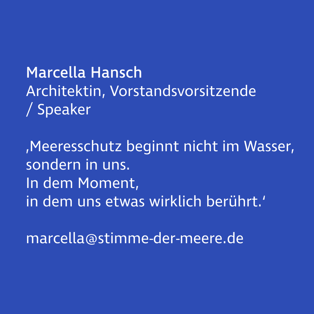Image on hover