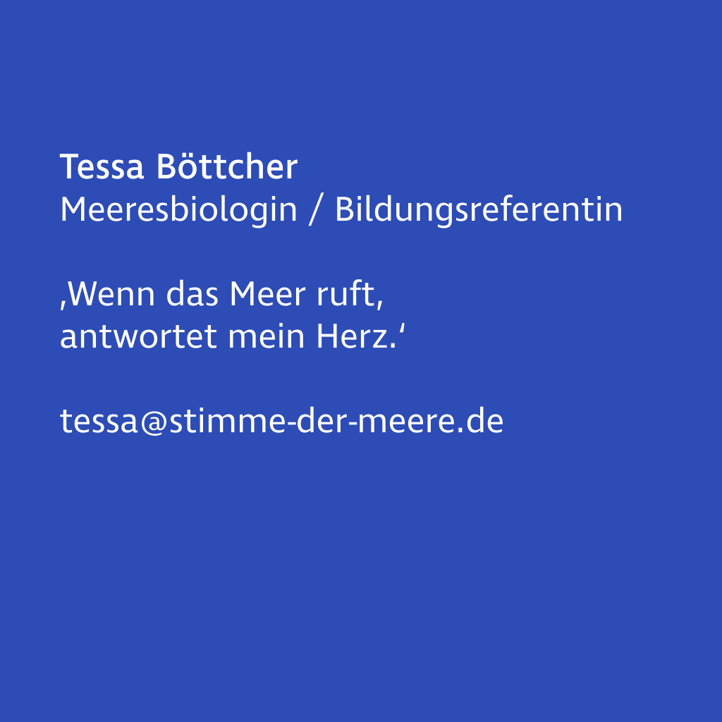 Image on hover